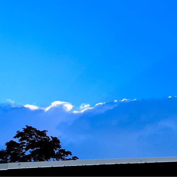 Meet your Posher, Maren - Picture 1 of 1